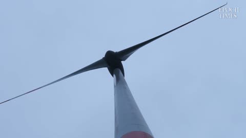 Die Windkraftkontroverse und Umweltauswirkungen