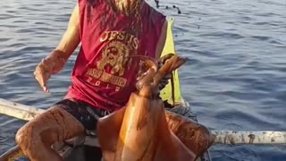 😂🦑 Watch What Happens When He Tries to Pet a Squid! | FunFM