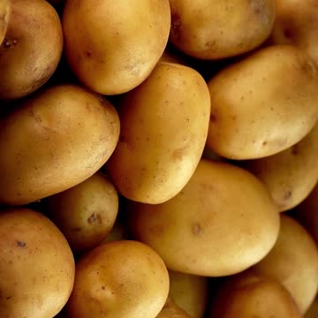 potatoes facts #shorts #diet #food
