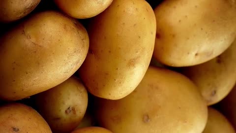 potatoes facts #shorts #diet #food