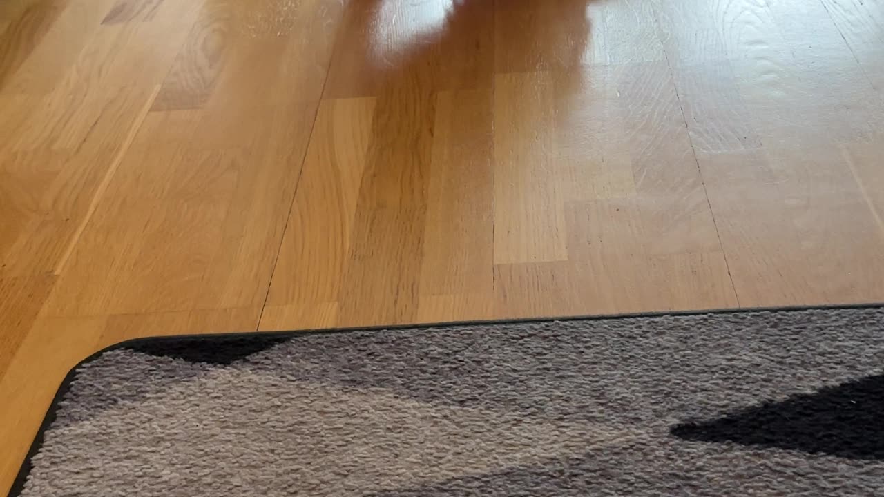 Baby Kayla Explores Grandma’s House | Adorable Curiosity in Action