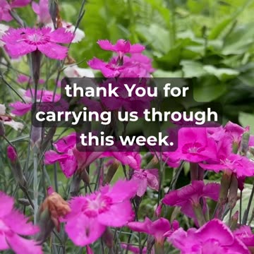 A Prayer to Finish Your Week Strong!