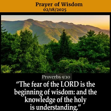 Prayer of Wisdom #youtubeshorts #grace #jesus #mercy #faith #fyp #trust #joy #blessed #love #thanks