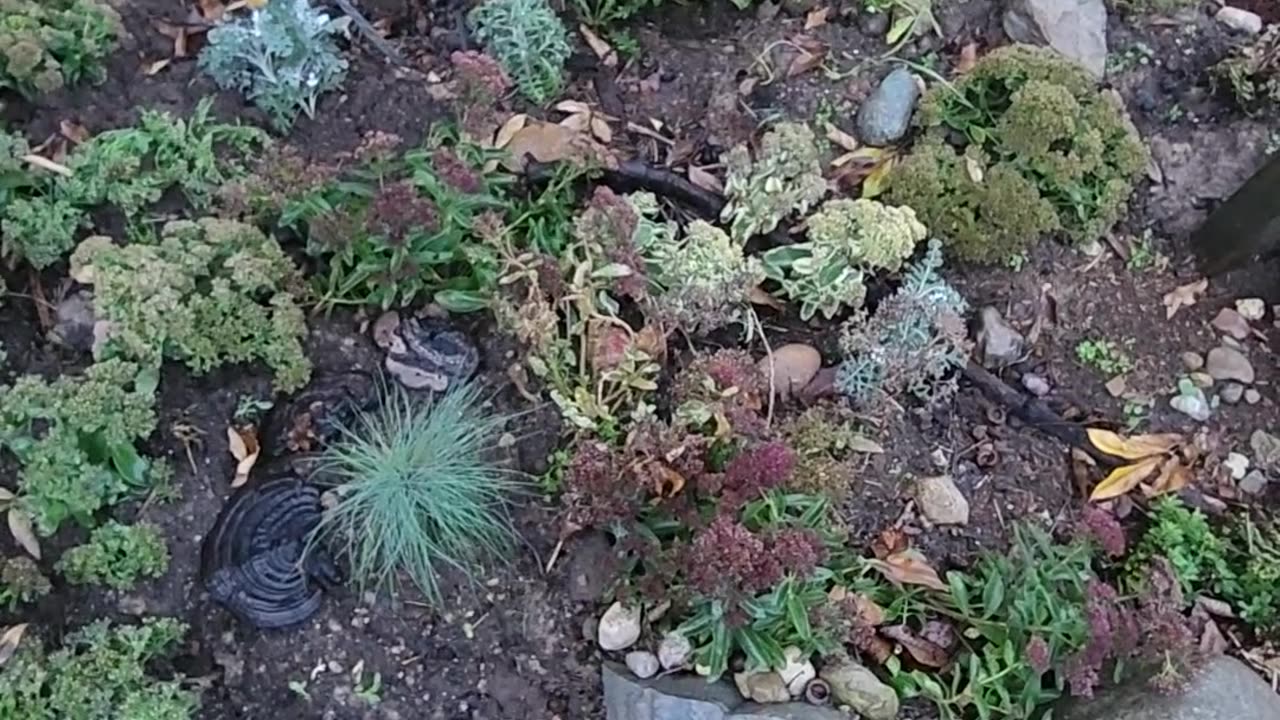 welcome to this mornings deer damage and health and welfare inspection