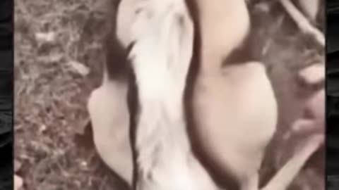 😨👻 The Scariest Paranormal Encounters! | TheHauntingHour