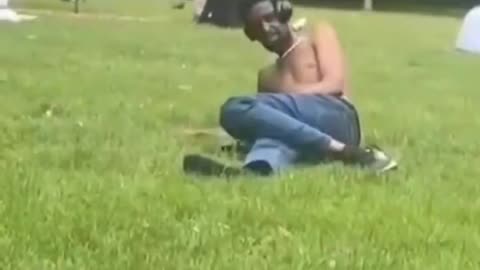 80 IQ Diversity comes to Ireland