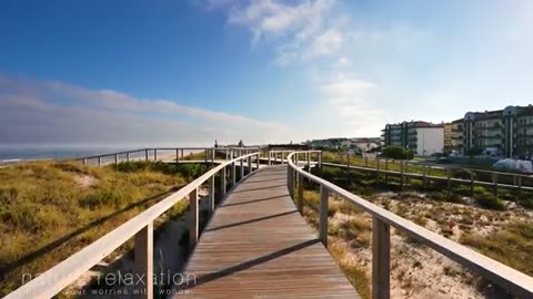 Scenic Virtual Coast Walk | 4K, 40min Ambient Nature Relaxation Film