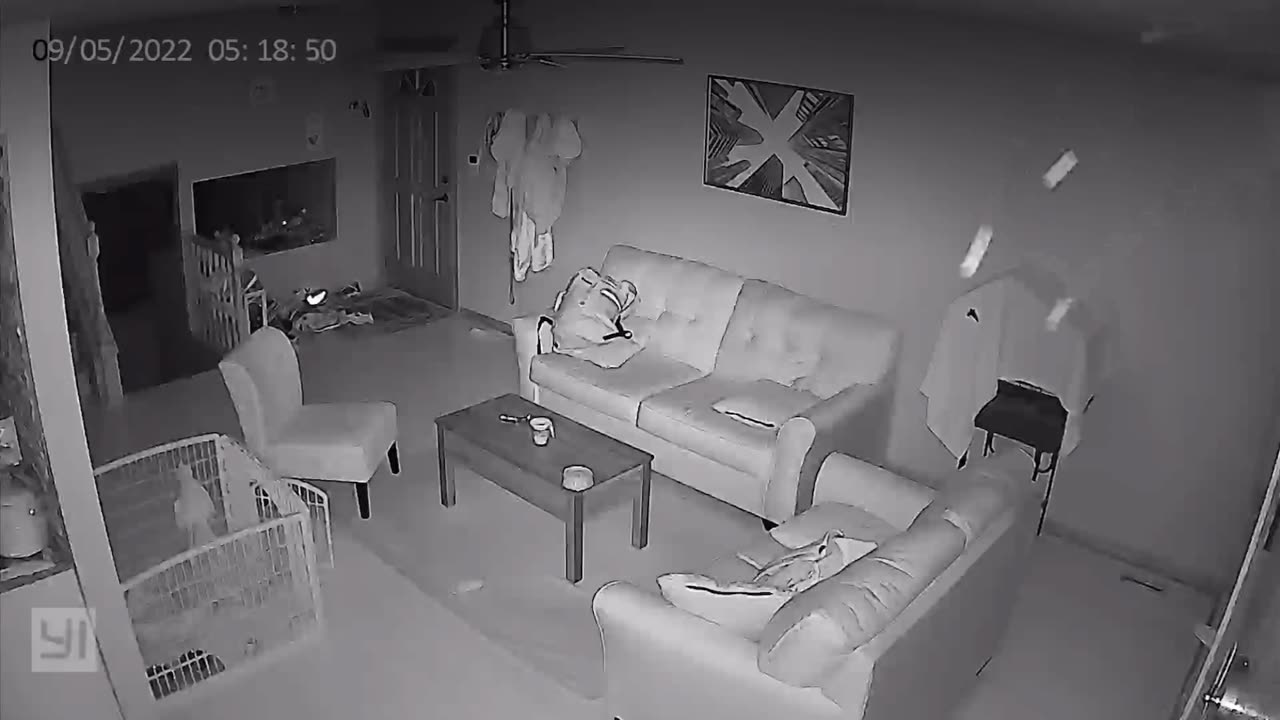 😨👻 What Is This??? Caught It Multiple Times on Camera! 😱 | TheHauntingHour