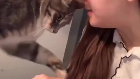 Cat Attacks