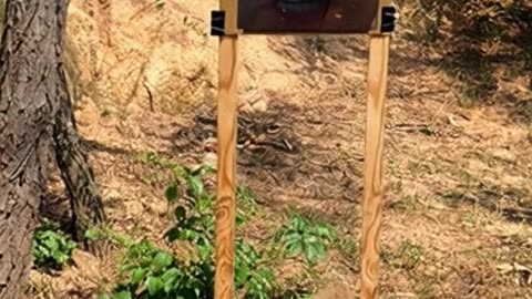 Mickey Target Practice Slow Mo