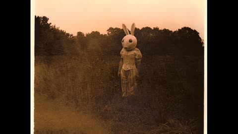 Vincent Gallo - Sweetness