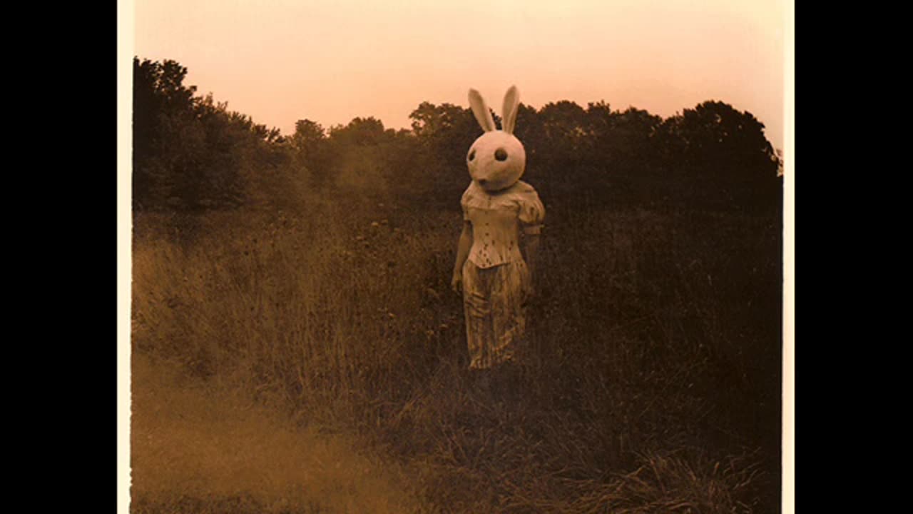 Vincent Gallo - Sweetness