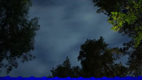 一瞬で銀河が変わる：SN 2020fqvの閃光