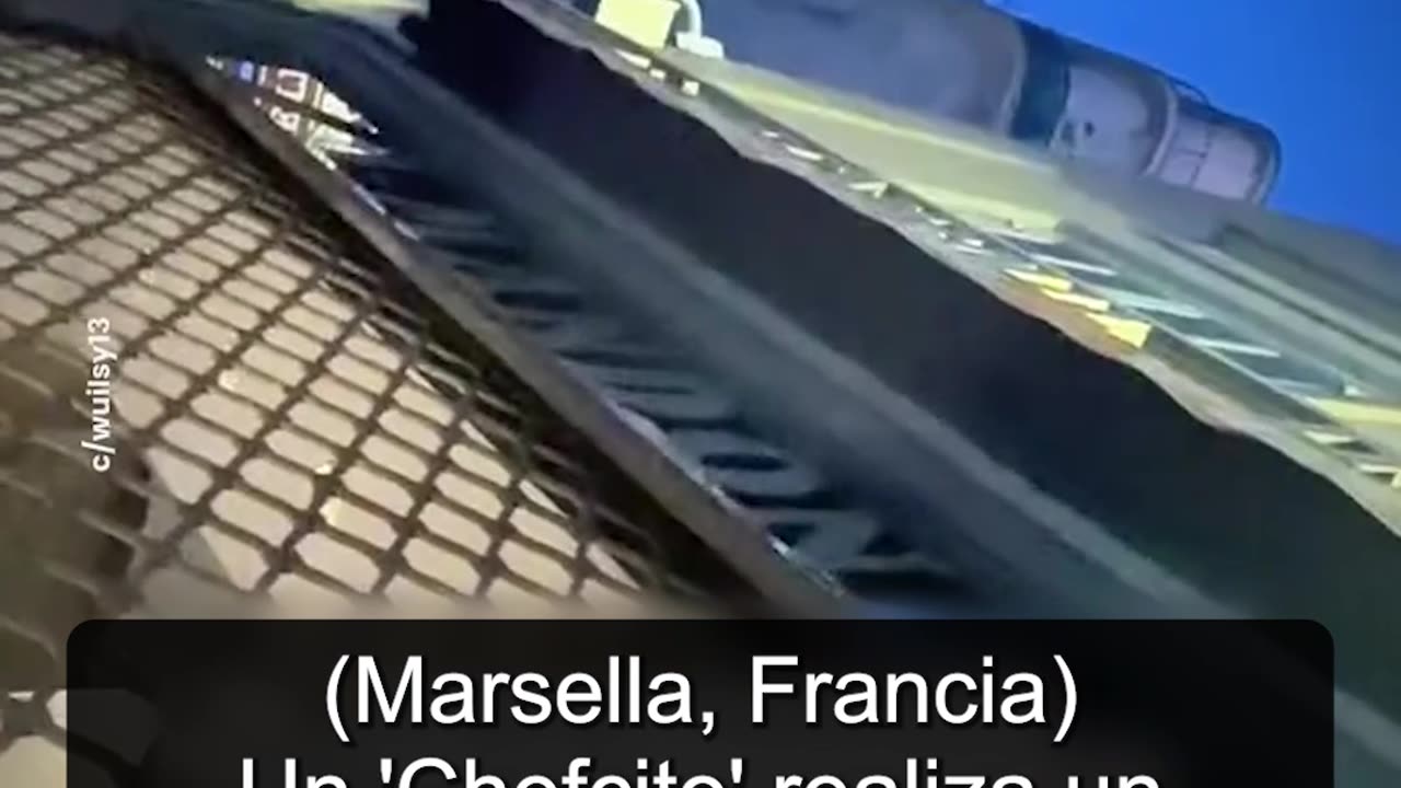 (Marsella, Francia) Ratas en la vitrina de una panadería