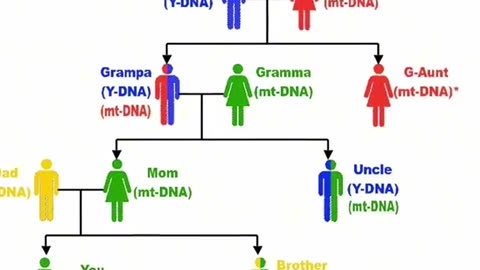 Disturbing Facts About DNA Ancestry Tests