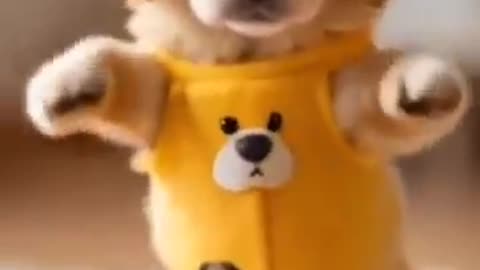 Dancing Puppy Deli 🐶😂