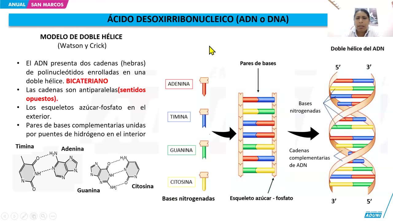 ANUAL ADUNI 2025 | Semana 04 | Álgebra | Biología