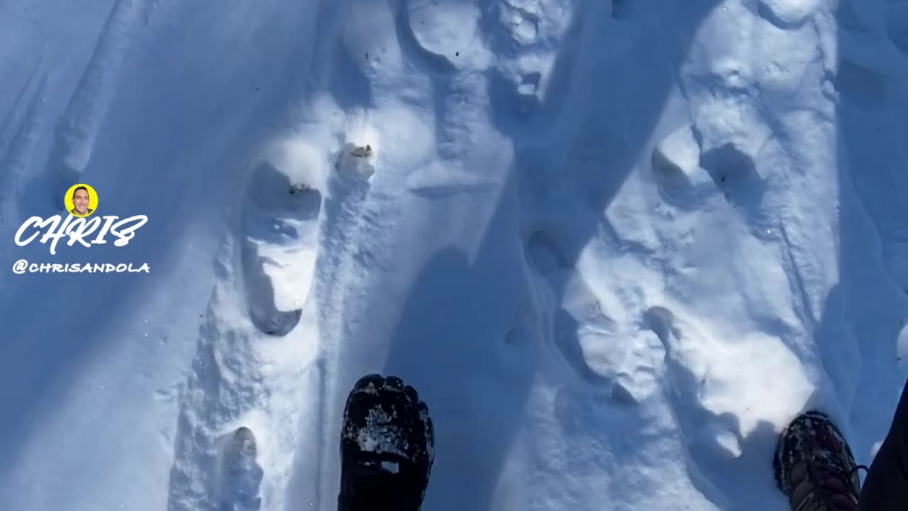 SHADOWS, SYNCHRONIZATION, AND SNOW CRUNCH!