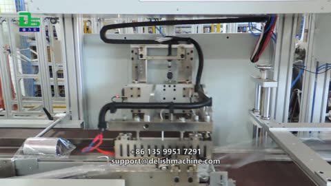 Carbon ribbon damage? Get DELISH's carbon ribbon packaging machine!