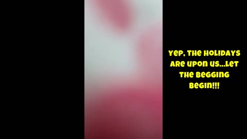 Denise Amazon Thanksgiving Wish List