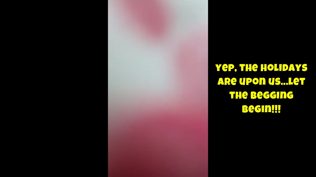 Denise Amazon Thanksgiving Wish List