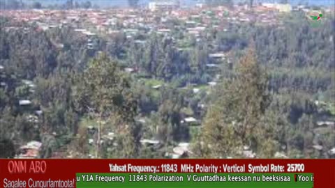 Oduu Waaree ONM-ABO Muddee 31-2024 itti dhiyaadhaa!