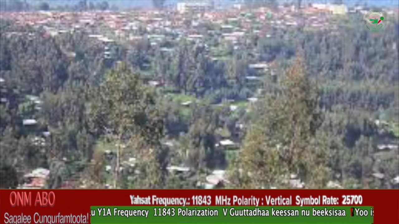 Oduu Waaree ONM-ABO Muddee 31-2024 itti dhiyaadhaa!