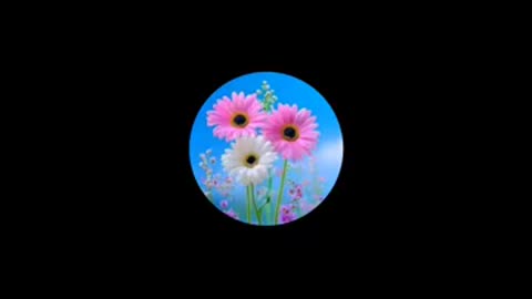 WHY ARE PEOPLE PANICKING? DO THEY TRUST GOD?