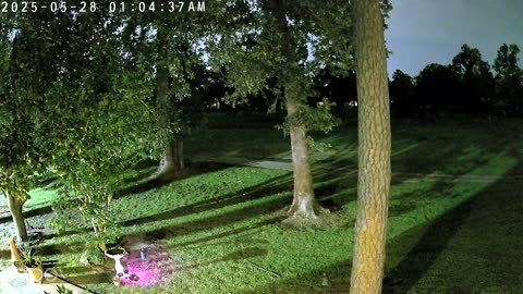 🕵️‍♂️👻 You Won't Believe What This Security Camera Caught! What's Going On? Ghosts | TheHauntingHour