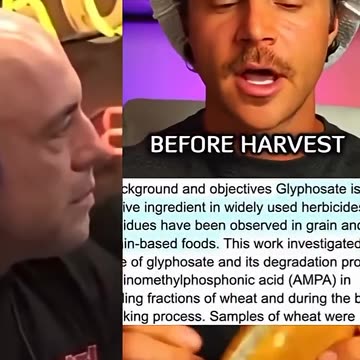 They Screwed Our Bread