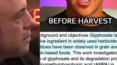 They Screwed Our Bread