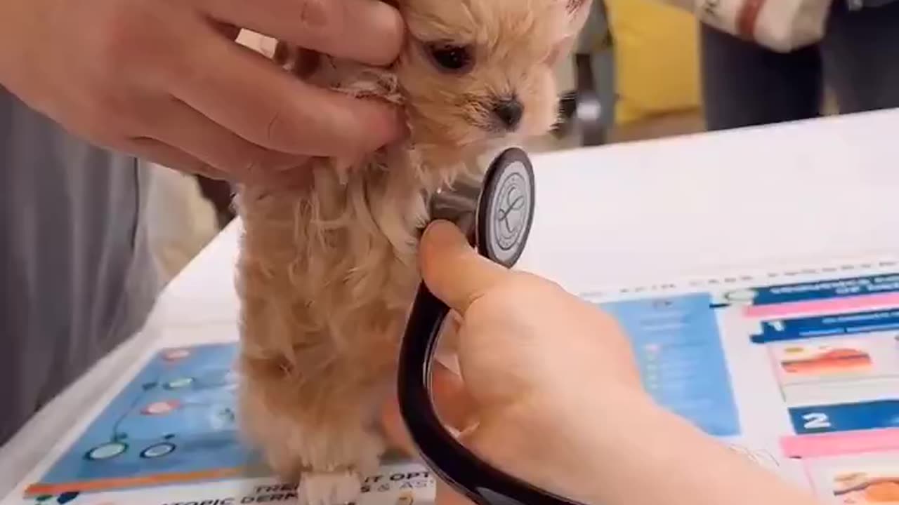So Smol
