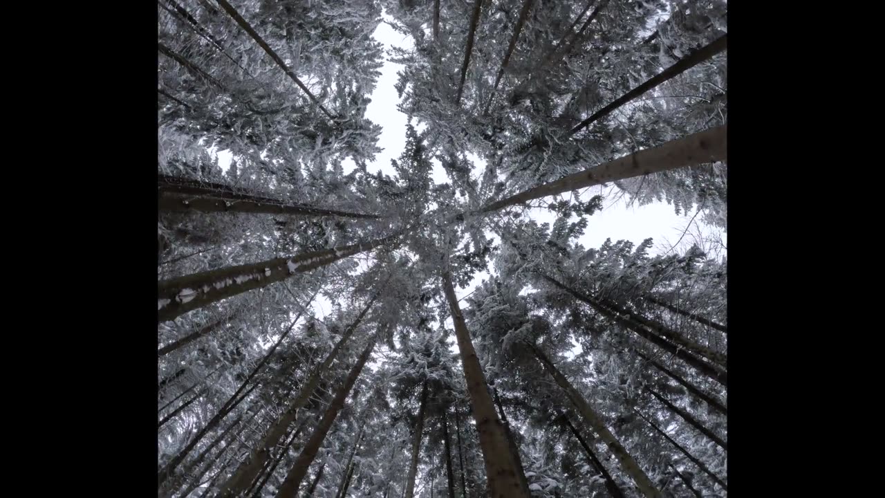 "Life is 10% what happens to you and 90% how you react to it." #WeatherReport