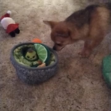 Christmas Bear Clip 3