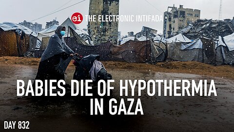 Babies die of hypothermia in Gaza, with Nora Barrows-Friedman