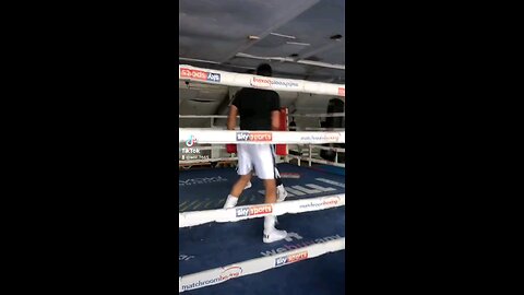 light sparring 1