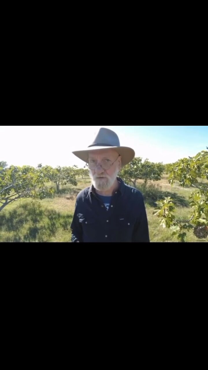 Thailand Freezes Millions of Bank Accounts - Max Igan