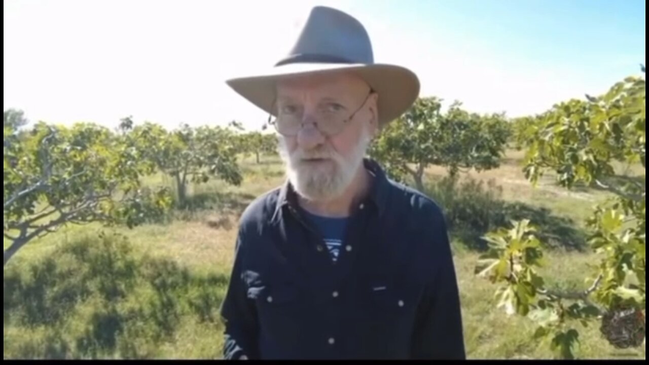 Thailand Freezes Millions of Bank Accounts - Max Igan