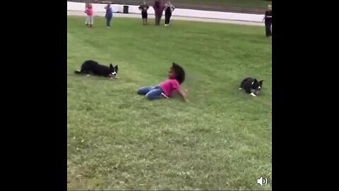 Funny Meams 😂 || Real Life Meams 🔥 || Video by KJ COLLECTIONS