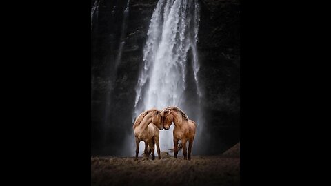 09.12.26- New World Alliances/ «Mangfoldet» som våpen/ 2026/ Trafficking i Norge😳 mm🔥