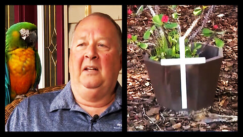 Man Battles Town Over 12-Inch Cross, Destroys Them