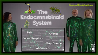 🇺🇸 WOW! 🌿 President Trump Posted a Video About the Health Benefits of CBD and Cannabis Products!