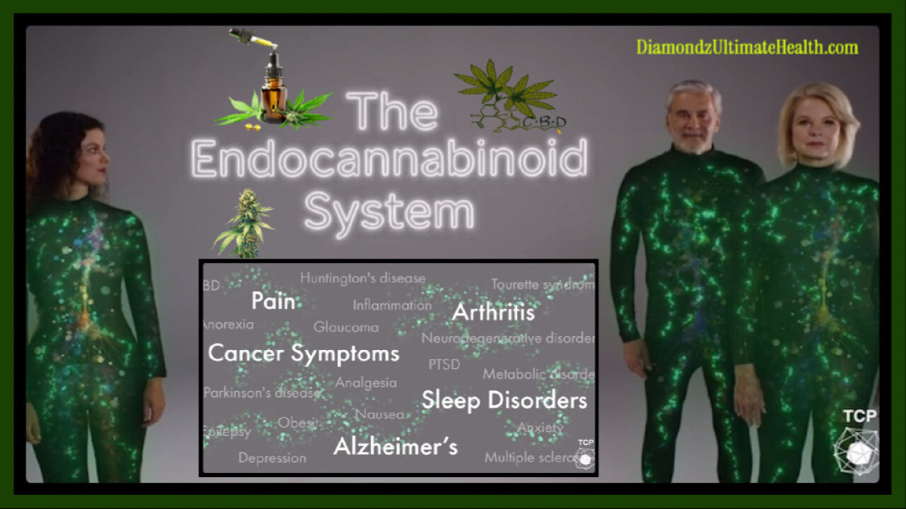 🇺🇸 WOW! 🌿 President Trump Posted a Video About the Health Benefits of CBD and Cannabis Products!