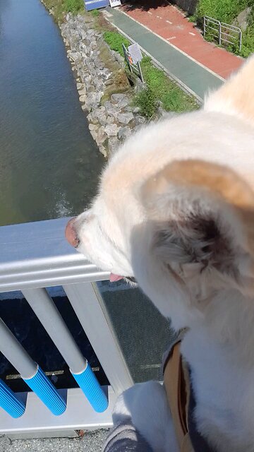 20251008. I Believe God.