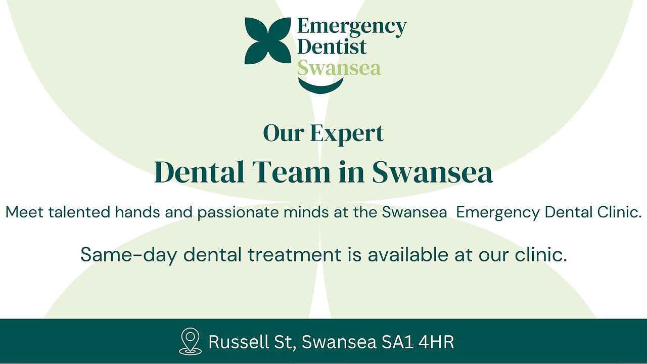 👨‍⚕️ Meet Our Expert Dental Team in Swansea