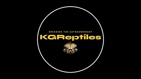 Reptile hobby vs Business