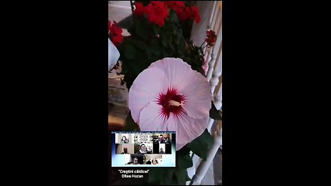 Oltea Hozan poezia -Creștini Căldicei- #autor Paula D #editor Valentin Trif #caleacătrerai #poetry