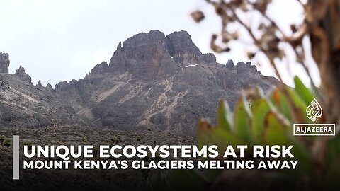 Loss of glaciers puts Mount Kenya’s unique ecosystems at risk