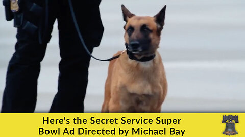 Here's the Secret Service Super Bowl Ad Directed by Michael Bay