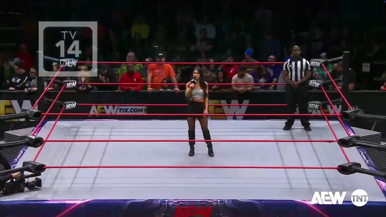 Arkady My Dear Excellent Choice Of In Ring Wear